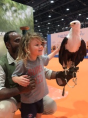 Abu Dhabi Hunting and Equestrian Exhibition